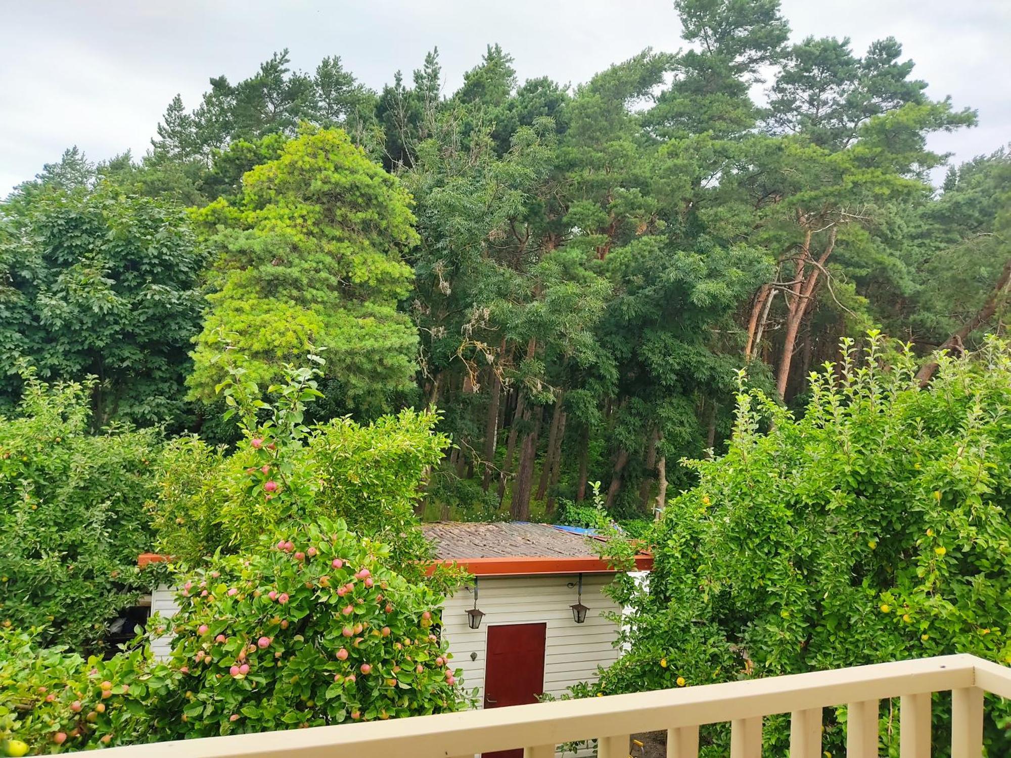 Kopa Cabana Palanga Luaran gambar
